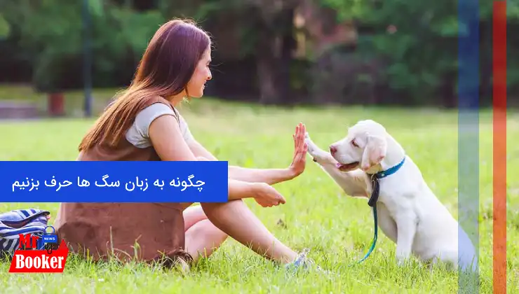 چگونه به زبان سگ ها حرف بزنیم